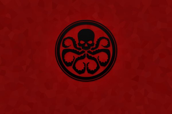 Kraken url