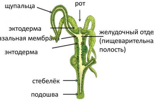 Кракен тор ссылка