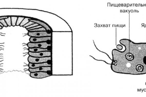 Кракен площадка