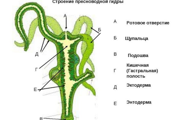 Кракен ат сайт